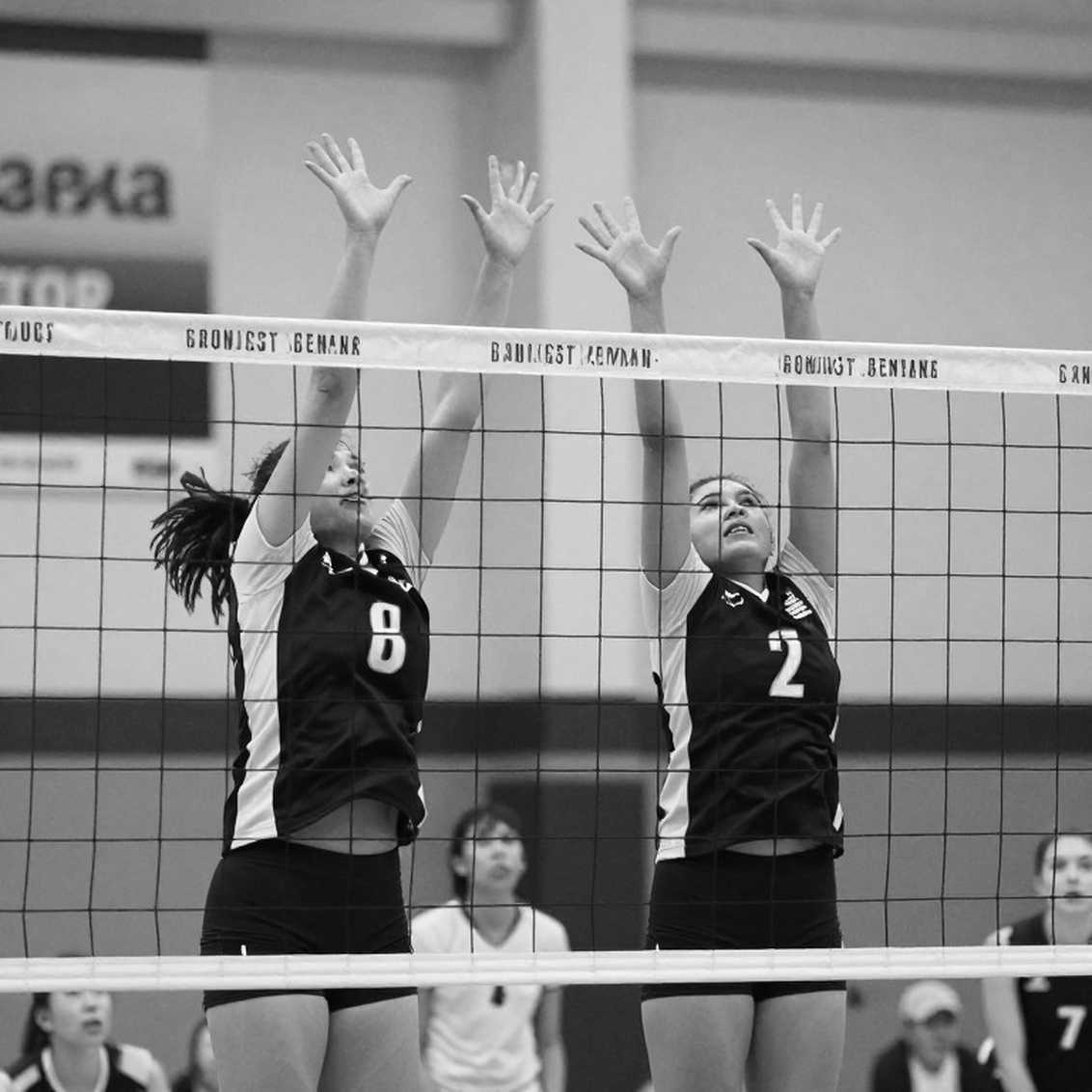 Shriners Children’s Showdown at the Net 2026: Pitt số 1, Stanford và cuộc so tài ACC-SEC tại Disney World