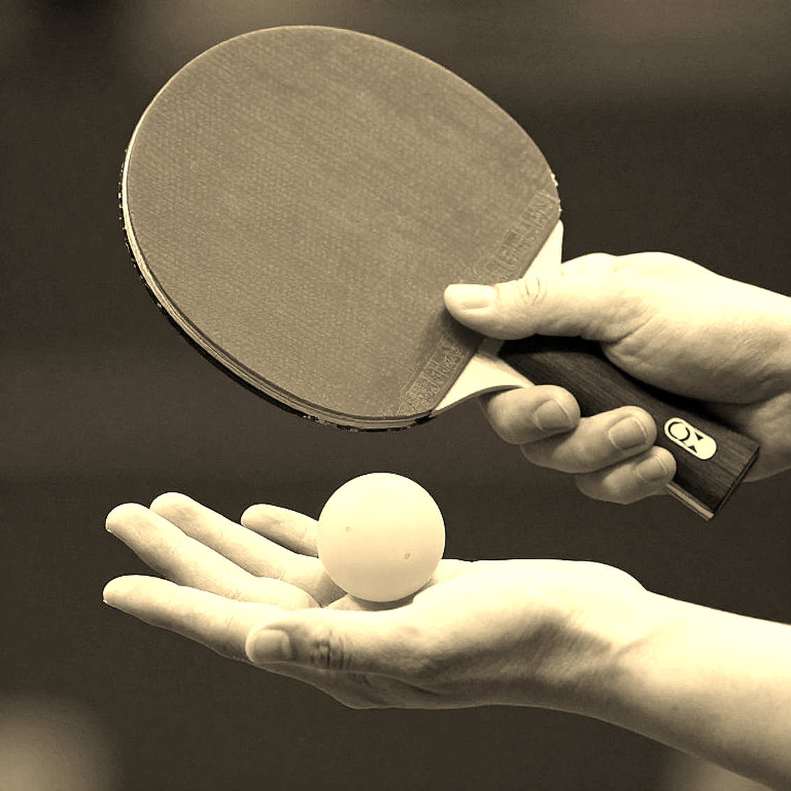 Two Silvers from Le Mans: Parkinson's Table Tennis and the Imprint of Healing Data Two Silvers from Le Mans: Parkinson's Table Tennis and the Imprint of Healing Data
