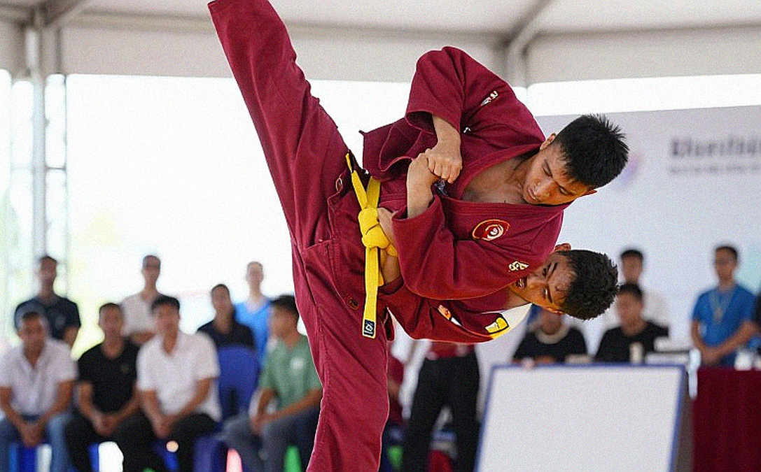 Vovinam and the Modernization Equation: When Vietnamese Traditional Martial Arts Find a New Rhythm