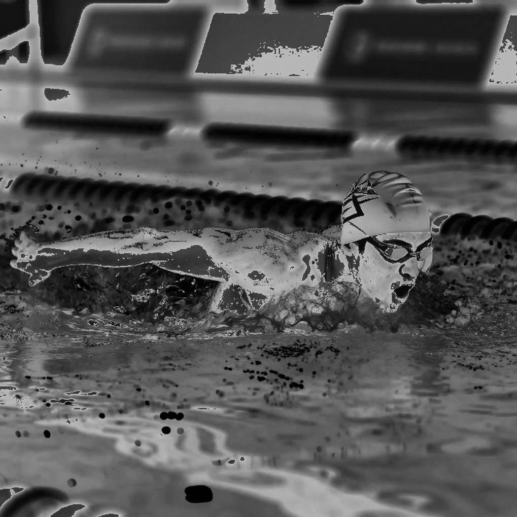 USA Swimming công bố danh sách 101 VĐV đội tuyển quốc gia 2026-27: Sự thắt chặt có chủ đích trước thềm LA28