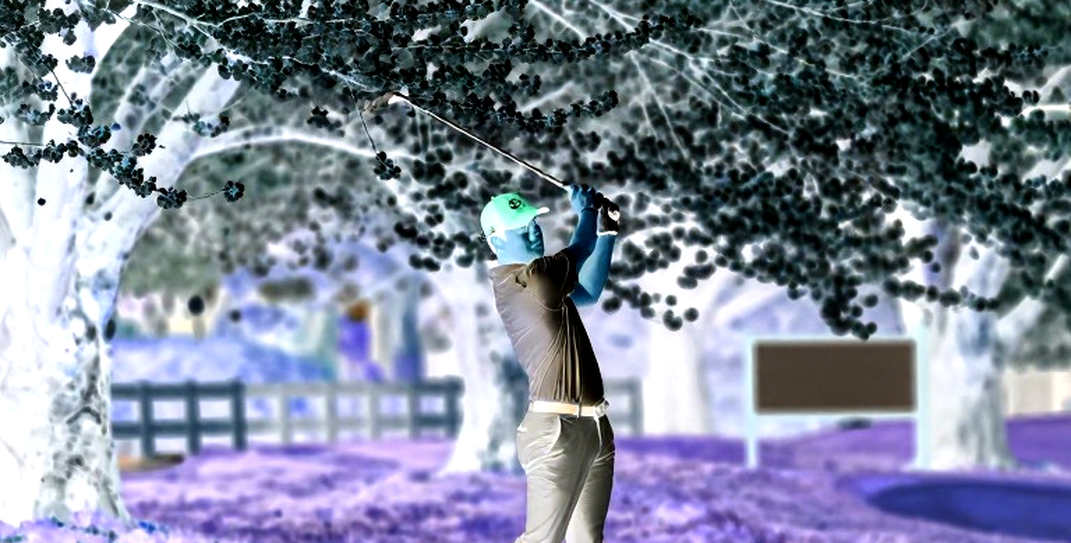 Tiger Woods và bản án lặng lẽ: Khi huyền thoại đối mặt với chính mình