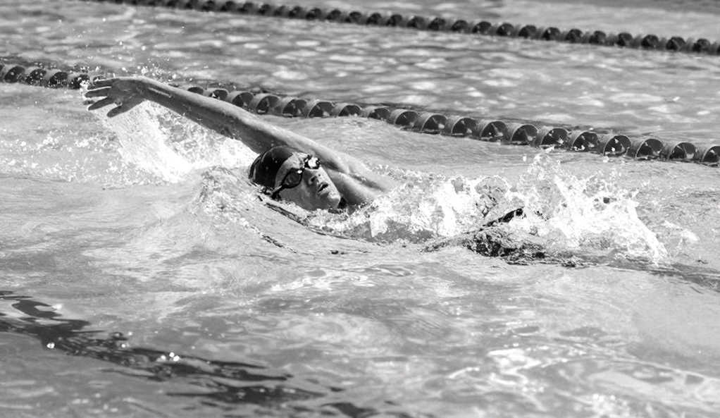 Bể bơi Mỹ đếm 1.845 suất trước khi cửa sổ vòng loại Olympic Trials 2028 kịp mở