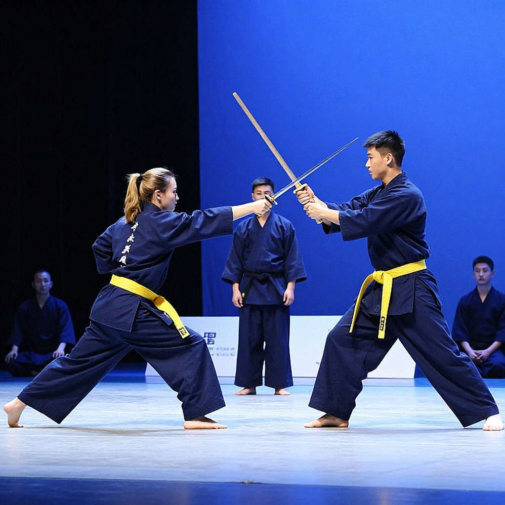 Martial Arts Is Not One Sport: How a Single Classification Error Voids the Entire Analysis Martial Arts Is Not One Sport: How a Single Classification Error Voids the Entire Analysis