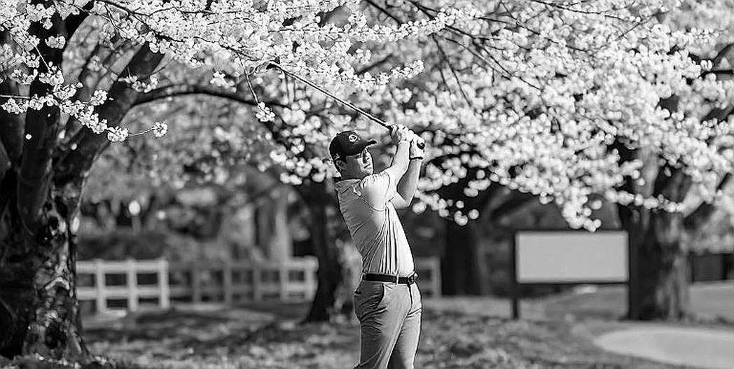Port Royal 6.828 yard: khi gậy sắt lên tiếng, cây putter của Davis Thompson vẫn là ẩn số