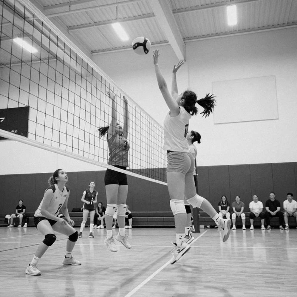 Liga Voli Mahasiswa 2026: When an Indonesian Media Platform Builds Its Own University Volleyball Stage Liga Voli Mahasiswa 2026: When an Indonesian Media Platform Builds Its Own University Volleyball Stage